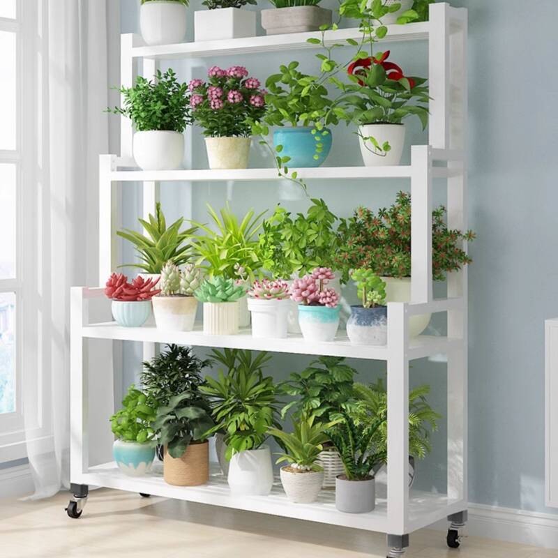 Rectangle Steel Plant Rack with Caster Wheels