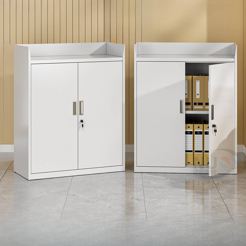 Steel Corrosion Resistant Filing Cabinet Console with Locker, Adjustable Shelving, Locking Door, 1-Wide