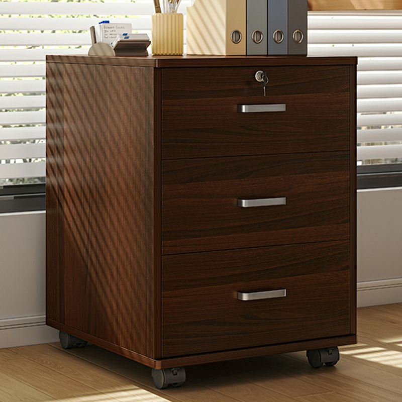 Contemporary Style Filing Cabinet with Drawers and Wooden Frame