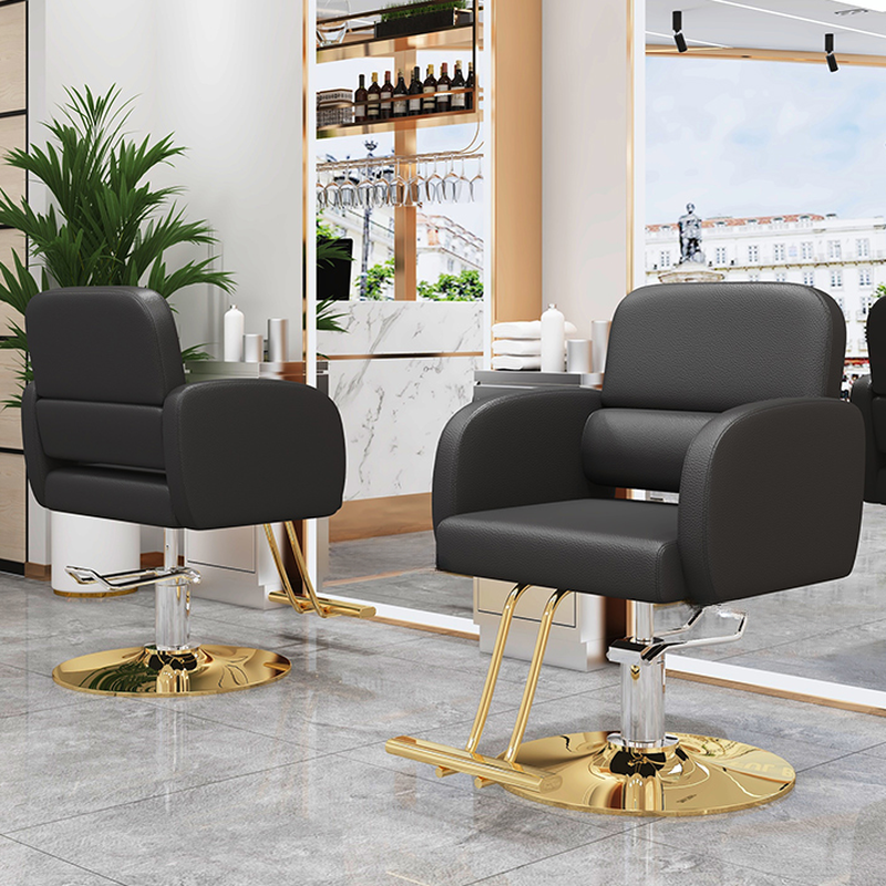 Solid Colour Adjustable Styling Chair with Alloy/Stainless Steel Frame and Footrest