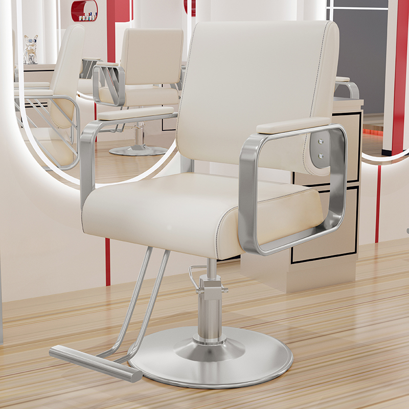 Stainless Steel Rectangle Styling Chair with Adjustable Features and Footrest, Solid Colour