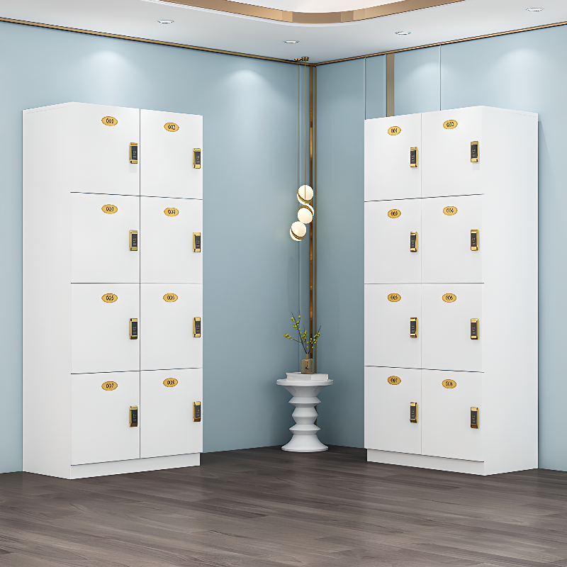 Installation Required Employee Lockers with Solid Doors, Lock & Name&number Plate, Partial Assembly