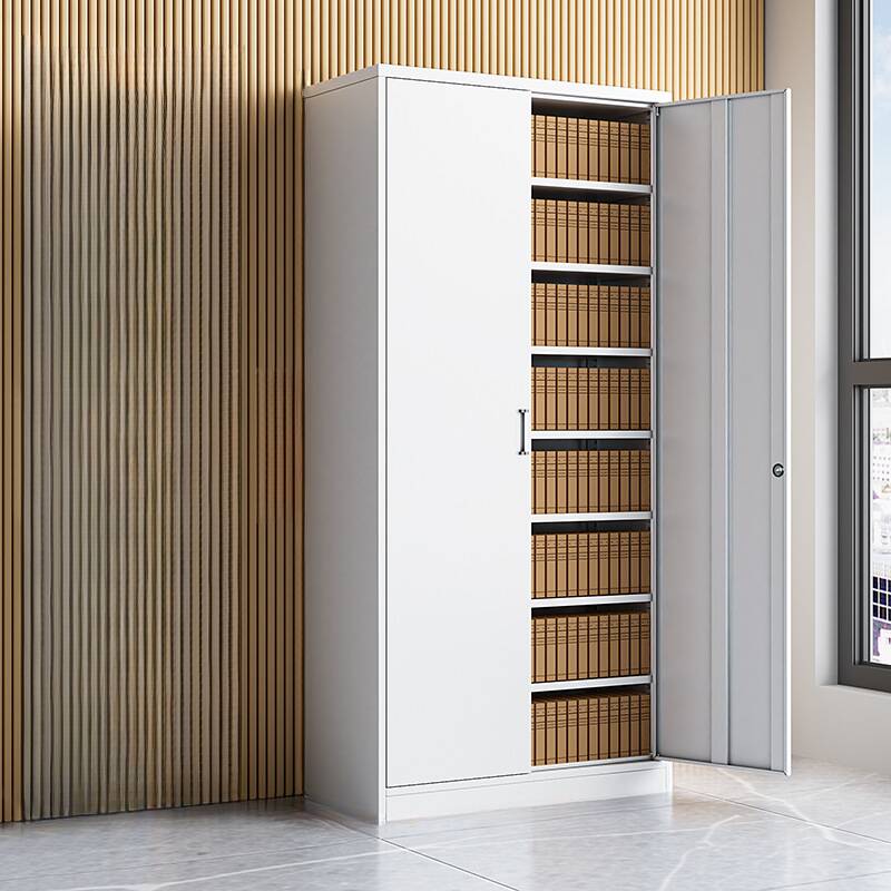 Casual Steel Filing Cabinet Console with Cupboard, Adaptable Shelf, Locking Door, and Compartments