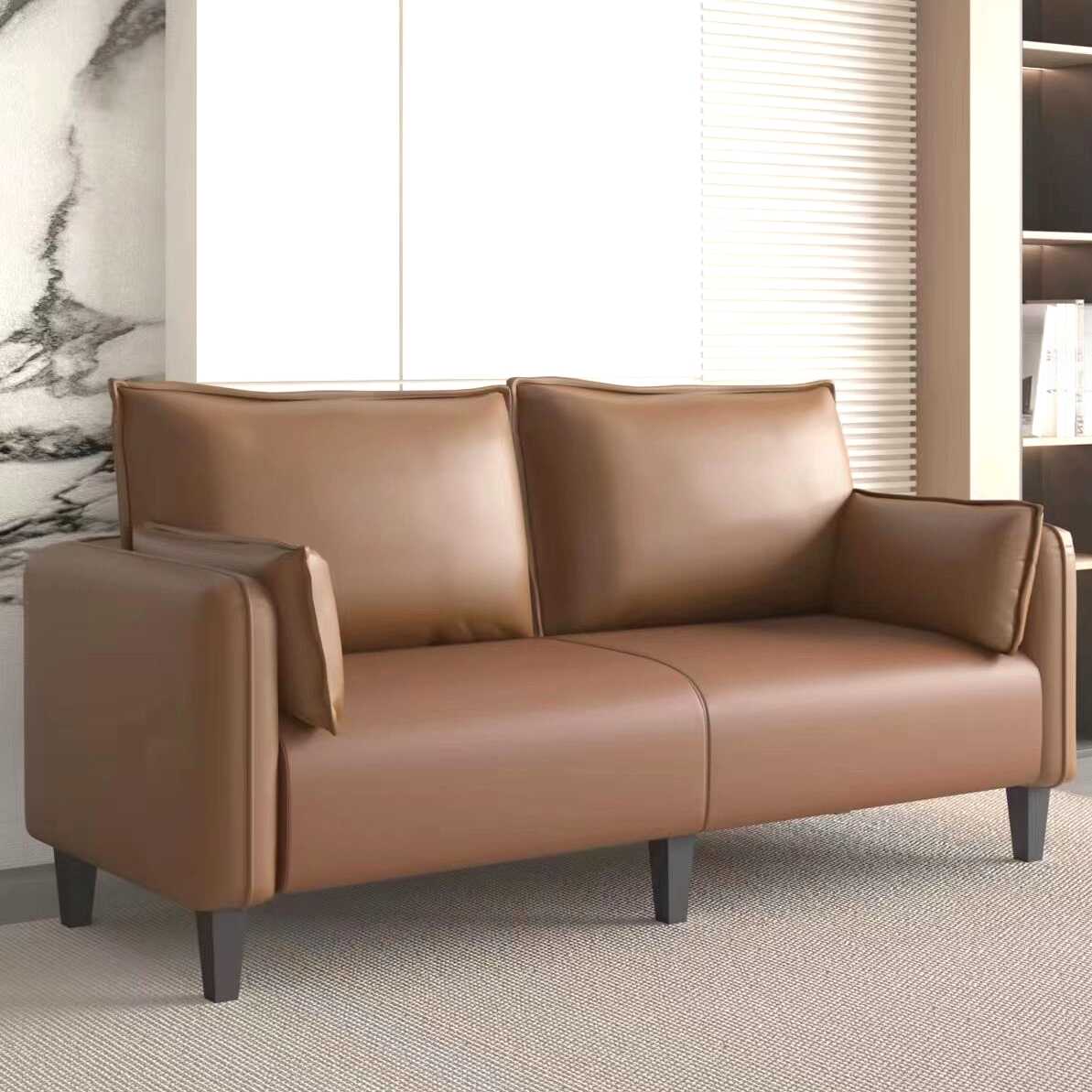 Casual Solid Colour Loveseat in Dove Grey/Cerulean/Coffee for 2 with Pillow Top Arm and 2 Pillows