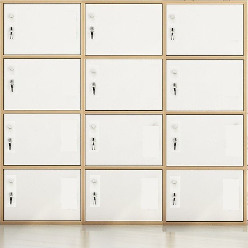 6 or more/5 Tiers/4 Tiers Lumber Installation Required Home Lockers with Robust Door and Lock, Partial Assembly Needed